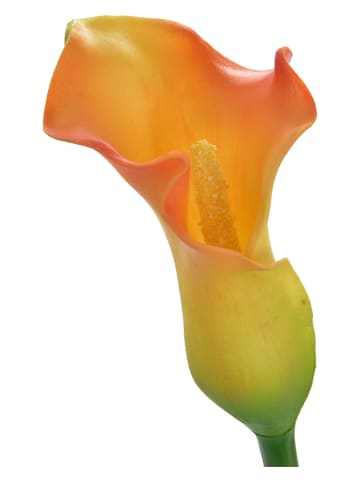 InArt Kunstblume in Grün/ Orange - (H)70 cm
