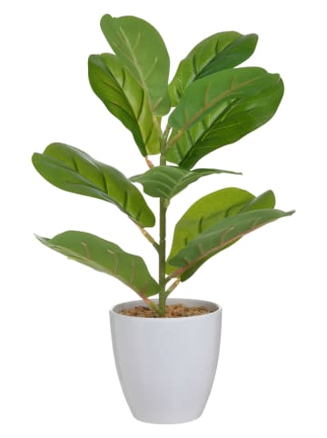 InArt Kunstplant groen/wit - (H)33 x Ø 10 cm