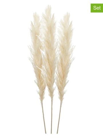 InArt Sztuczne kwiaty (3 szt.) w kolorze beżowym - 150 cm