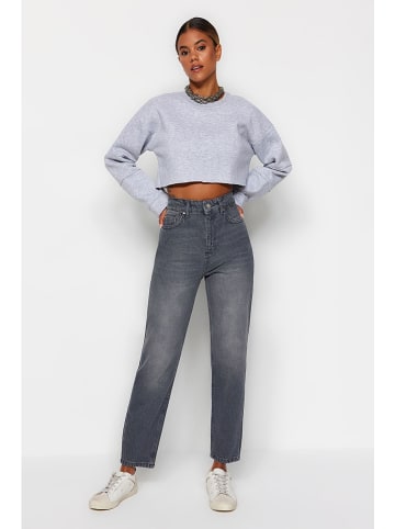 trendyol Jeans - Regular fit - in Grau