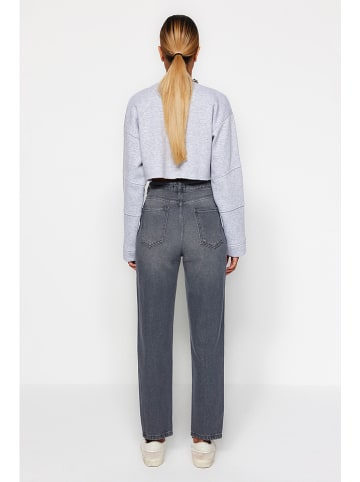 trendyol Jeans - Regular fit - in Grau