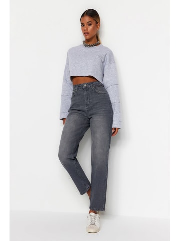 trendyol Jeans - Tapered fit - in Grau