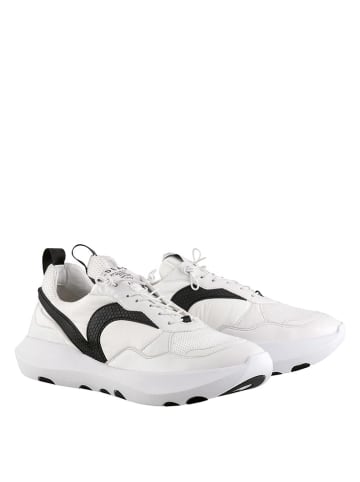 Högl Sneakersy "Vsn 01" w kolorze czarno-białym