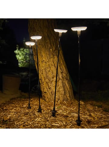 lumisky Lampy zewnętrzne LED (4 szt.) w kolorze czarnym - Ø 9,6 x wys. 76,2 cm