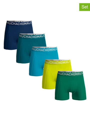 Muchachomalo 5-delige set: boxershorts groen/blauw