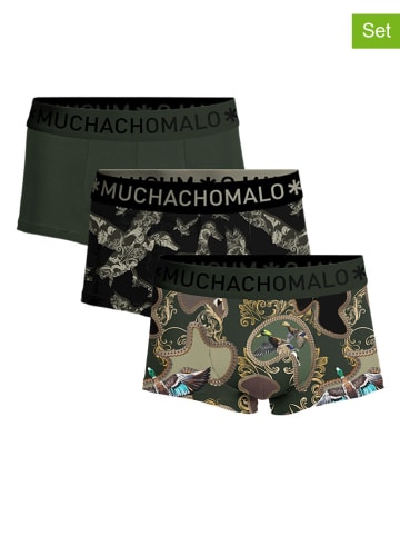 Muchachomalo 3er-Set: Boxershorts in Khaki