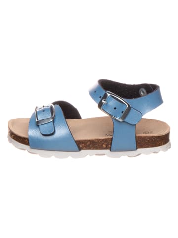 BIO PINGÜIN Sandalen blauw