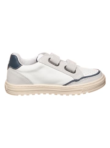 Naturino Sneakers "Ariton" in Weiß/ Creme