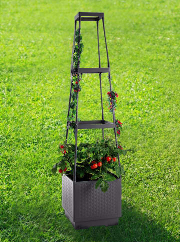 Garden Hero Doniczka w kolorze czarnym z podpórką dla roślin