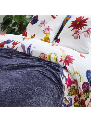 CXL by Christian Lacroix Plaid in Bordeaux