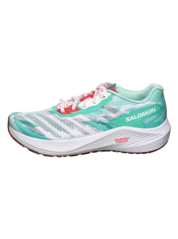 SALOMON Hardloopschoenen "Aero Volt" wit/turquoise