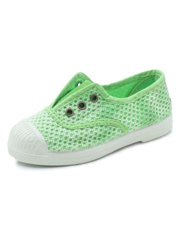 natural world Slippersy w kolorze zielonym