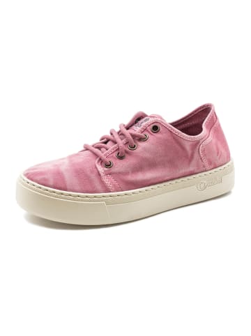 natural world Sneakers in Rosa