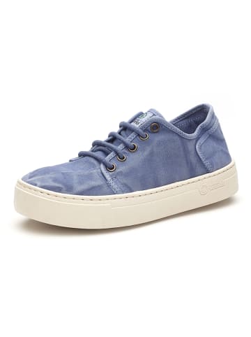 natural world Sneakers in Blau