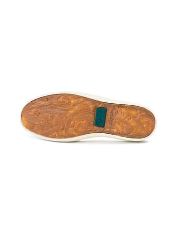 natural world Slipper in Khaki