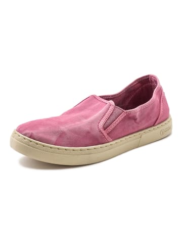 natural world Slipper in Pink