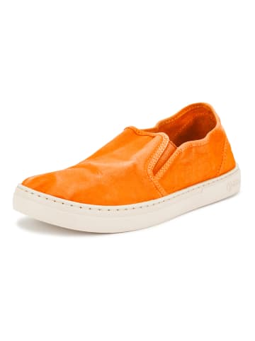 natural world Slipper in Orange