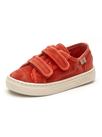 natural world Sneakers rood