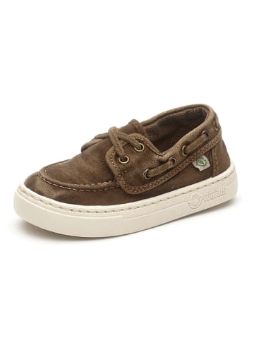 natural world Sneakers bruin