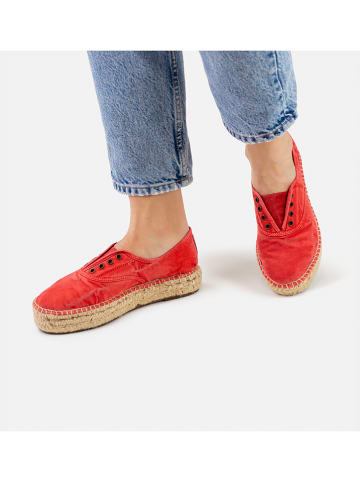 natural world Sneakers in Rot