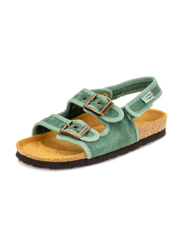 natural world Sandalen groen