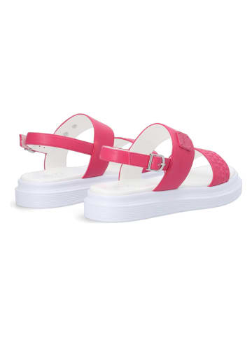 Liu Jo Sandalen in Fuchsia