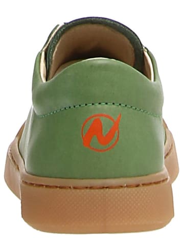 Naturino Leren sneakers "Eindhoven" groen