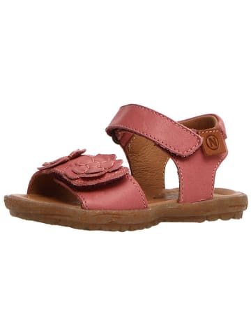 Naturino Skórzane sandały "Begonia" w kolorze różowym