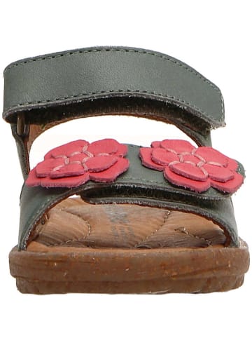 Naturino Skórzane sandały "Begonia" w kolorze khaki