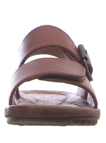 Naturino Leren sandalen "Kenny" lichtbruin