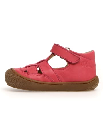 Naturino Leren enkelsandalen "Wad" roze