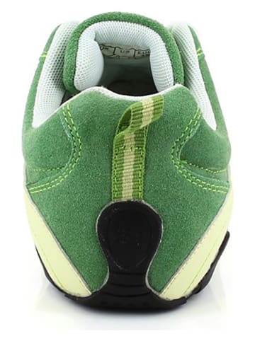 Kimberfeel Leder-Sneakers "Calice" in Grün
