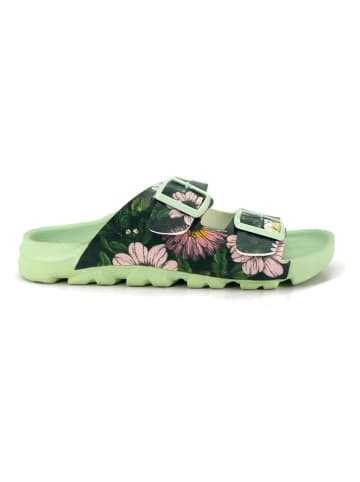 Calceo Slippers groen