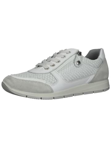 bama Leder-Sneakers in Grau/ Weiß