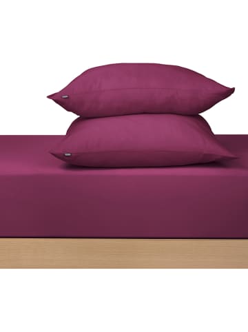 Schiesser Dżersejowa poszewka "Jessi" w kolorze fioletowym na poduszkę