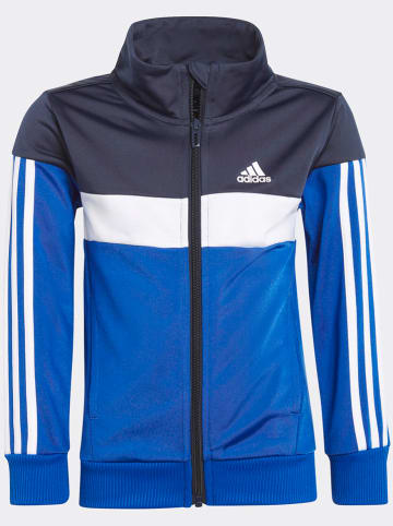 adidas 2-delige outfit donkerblauw/blauw