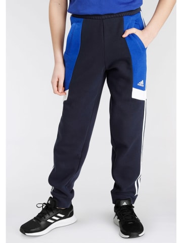 adidas Spodnie dresowe w kolorze granatowo-niebieskim