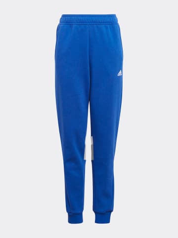 adidas Spodnie dresowe w kolorze niebiesko-szarym