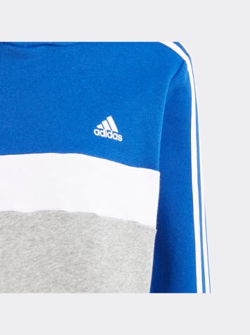 adidas Hoodie in Blau/ Grau/ Weiß