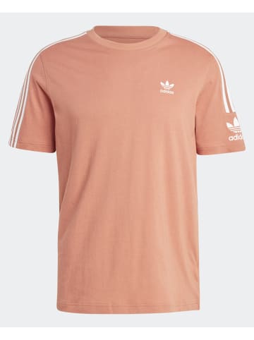 adidas Koszulka w kolorze pomarańczowym
