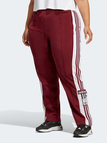 adidas Trainingsbroek bordeaux