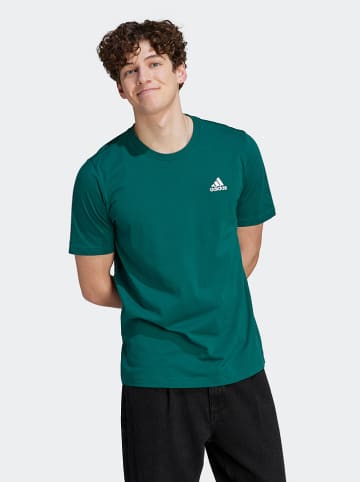 adidas Koszulka w kolorze zielonym