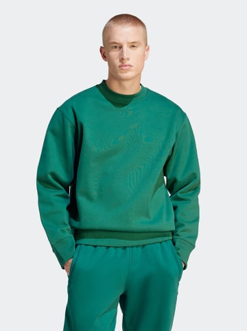 adidas Sweatshirt groen