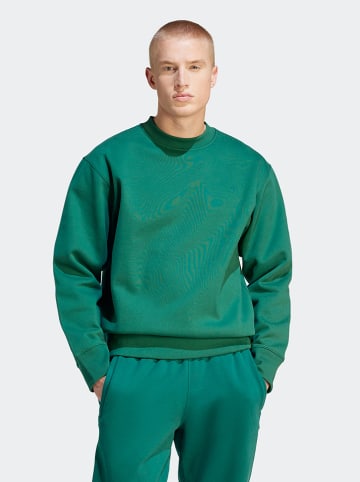 adidas Sweatshirt in Grün