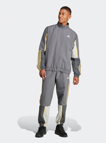 adidas Trainingsanzug in Grau