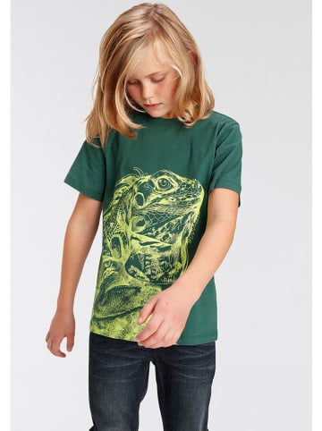 Kidsworld Shirt groen