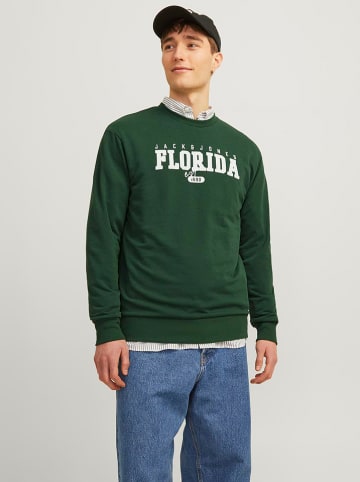 Jack & Jones Sweatshirt in GrÃ¼n