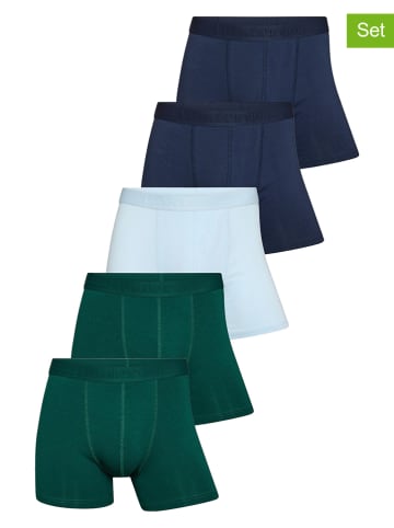 Resteröds 5-delige set: boxershorts groen/lichtblauw/donkerbllauw