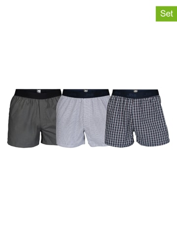 JBS 3er-Set: Boxershorts in Grau