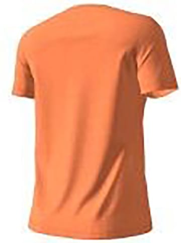 Halti Koszulka "Alanko" w kolorze pomarańczowym